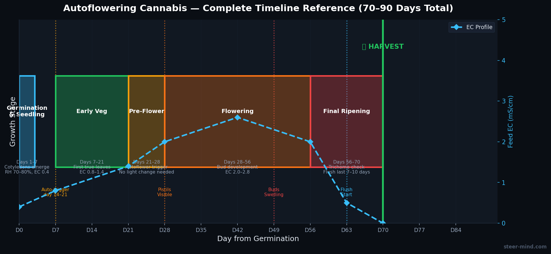 Autoflower lifecycle timeline: germination, vegetative, flowering, maturity over 12 weeks