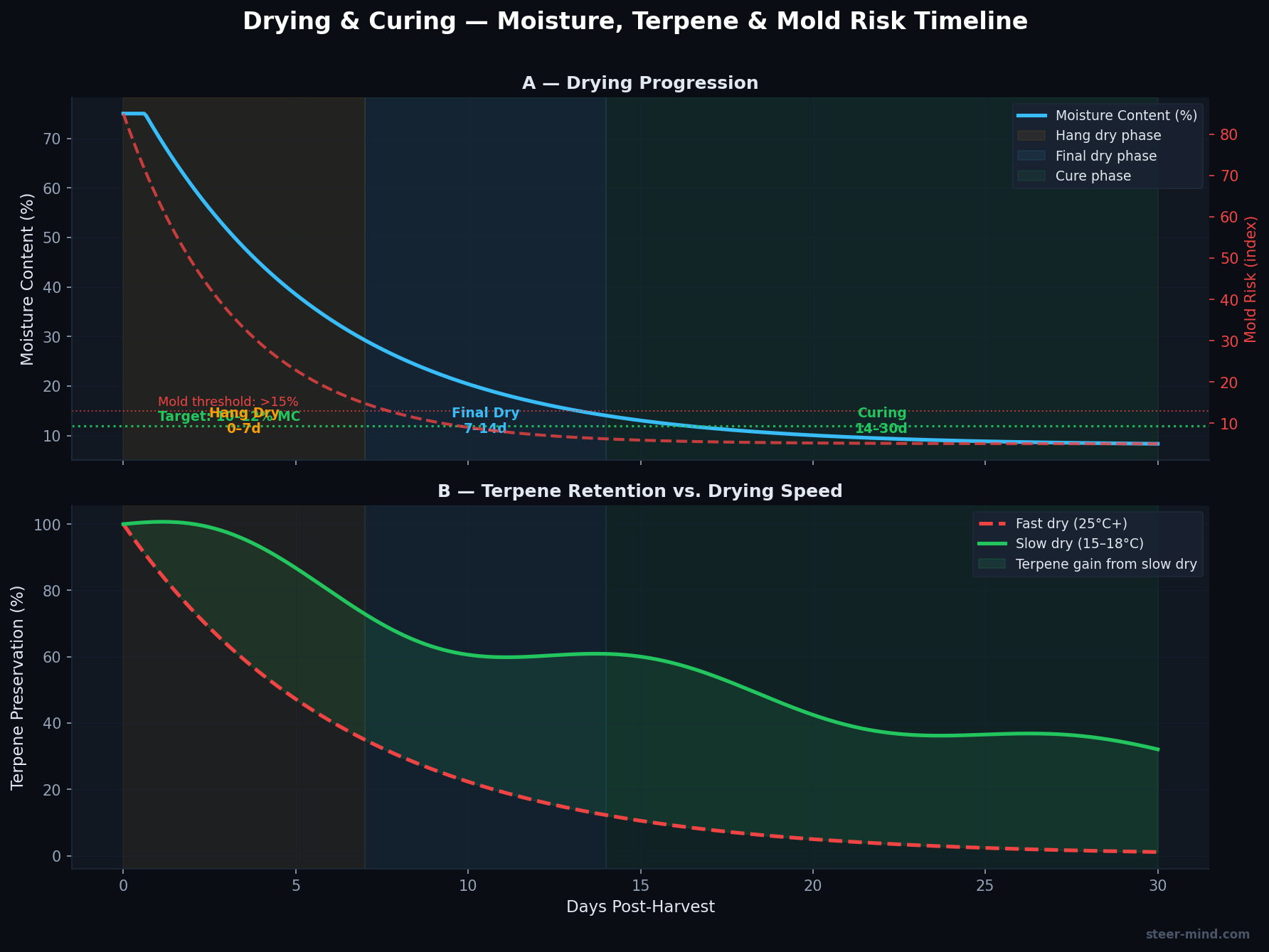 Moisture loss curve during drying and curing: drying over 10-14 days, then curing with gradual reduction