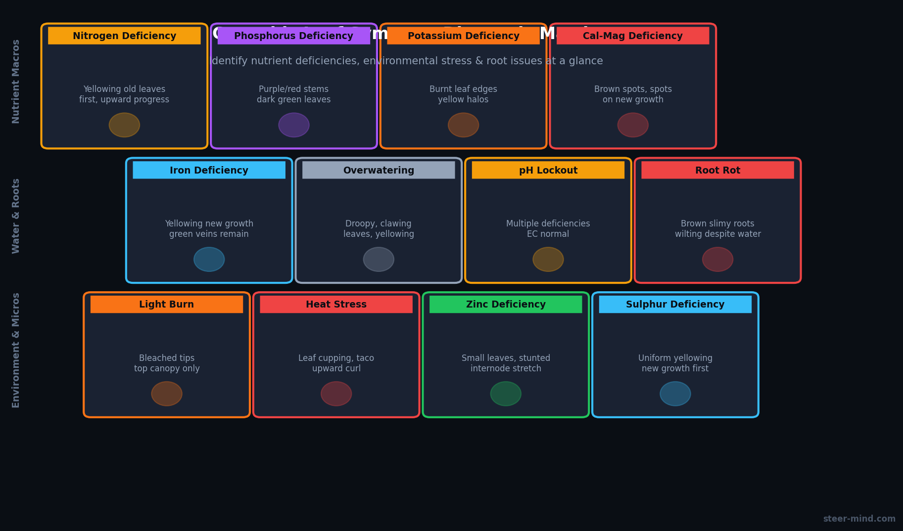 Cannabis leaf with deficiency symptoms: tip burn, potassium deficiency, magnesium deficiency, nitrogen deficiency
