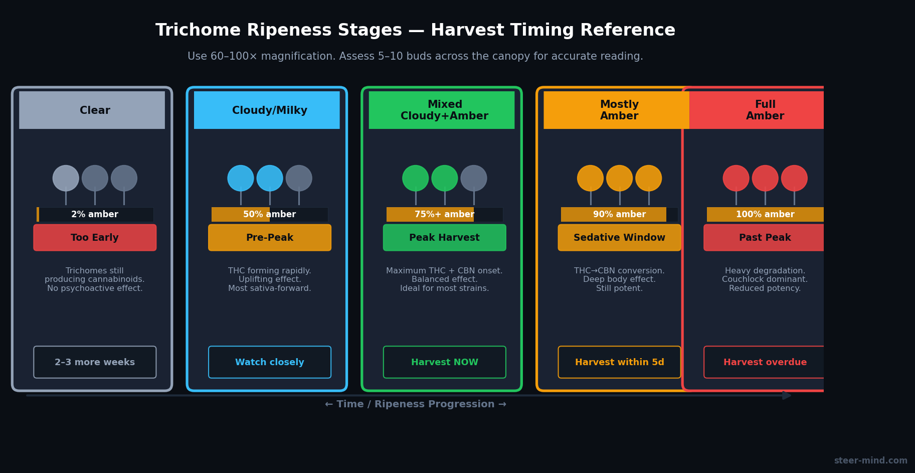 Cannabis trichome stages comparison: clear, cloudy, and amber with THC profile chart